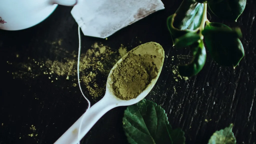 Finely milled botanical powder on a laboratory spoon