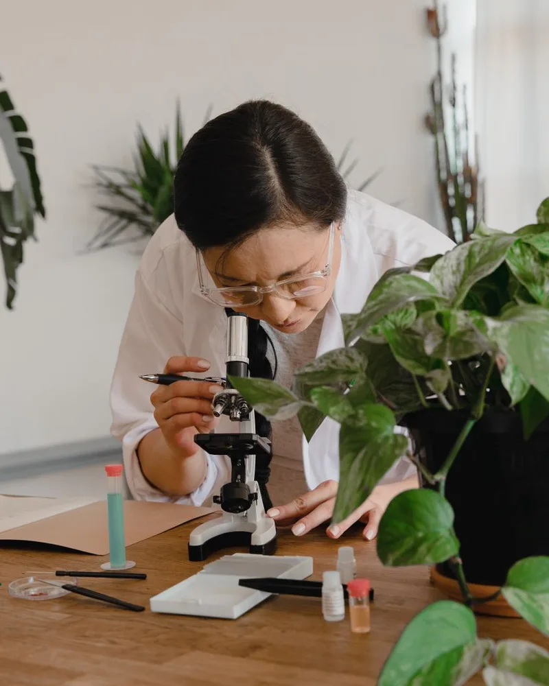 Botanical research bench with a microscope